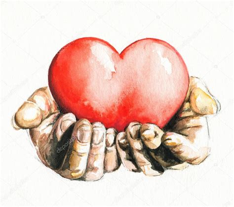 Hands Holding Heart Isolatet On White Backgroundpicture I Have Created