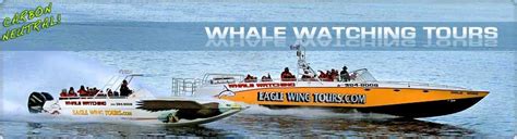 Eagle Wing Whale Watching Tour Boats Are The Best In Victoria British