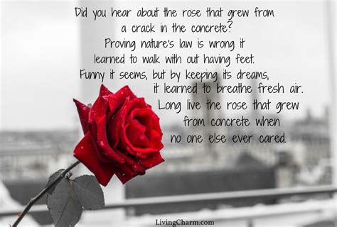Tupac Poem Rose