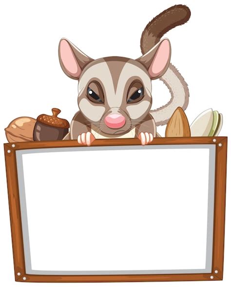 Free Vector Board Template With Sugar Glider And Nuts
