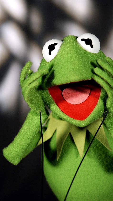 1920x1080px 1080p Free Download Kermit Frog Funny Hd Phone