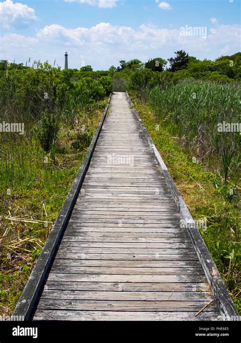 Wood Boardwalk Through Marsh High Resolution Stock Photography And