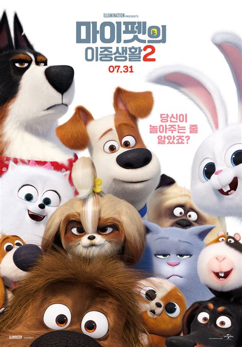The secret life of pets 2. The Secret Life of Pets 2 DVD Release Date | Redbox ...