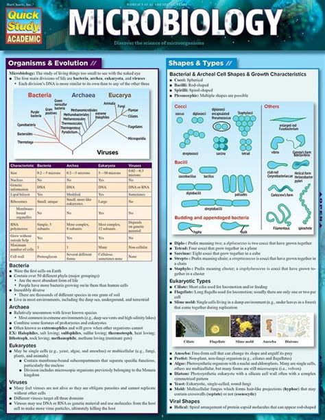 Microbiology Laminated Reference Guide Educationskills