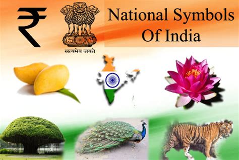 National Symbols Of India Ritiriwaz