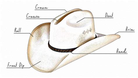Parts Of A Hat Diagram Chegospl