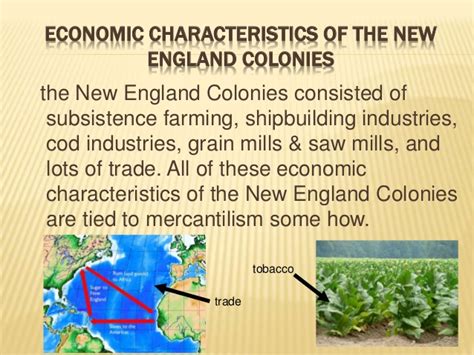 Economy Of New England Colonies Slideshare