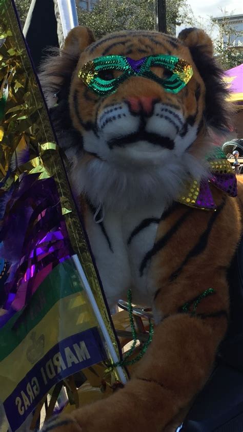 Lsus Mike The Tiger Attends Mardi Gras In New Orleans New Orleans
