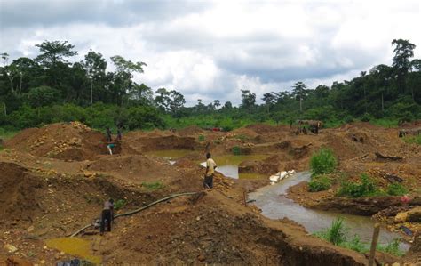 Ghana Loses 63bn Annually To Environmental Degradation World Bank