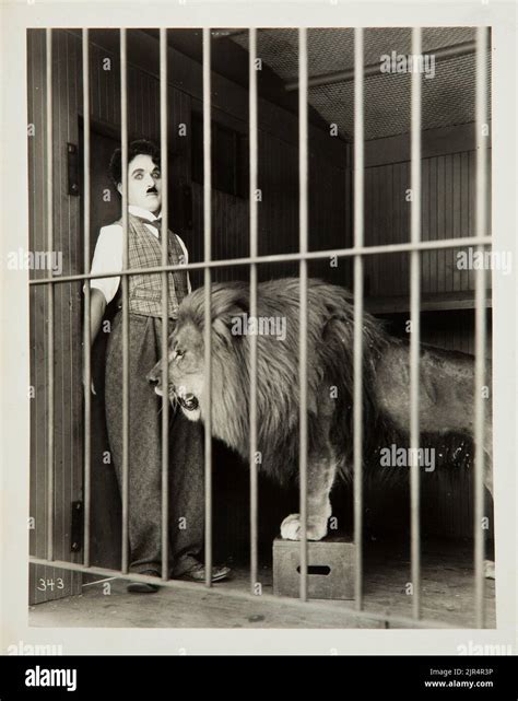 1928 Charlie Chaplin The Circus Charlie Inside A Cage With A Lion