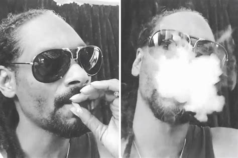 Rapper Snoop Dogg Invests Millions In A Weed App Daily Star