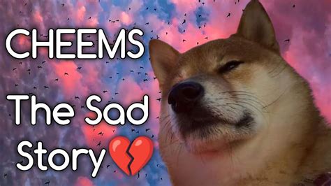 Sad Story Of Cheems Doge Meme Sad Depressed Doge Sigmahrithik