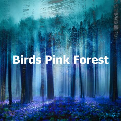 Birds Pink Forest Album By The Forest Escape Spotify