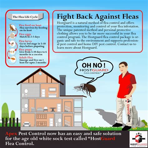 Simple Pest Control Benefits