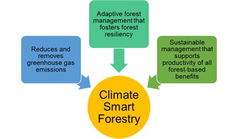 What Is Climate Smart Forestry A Brief Overview Nc State Extension