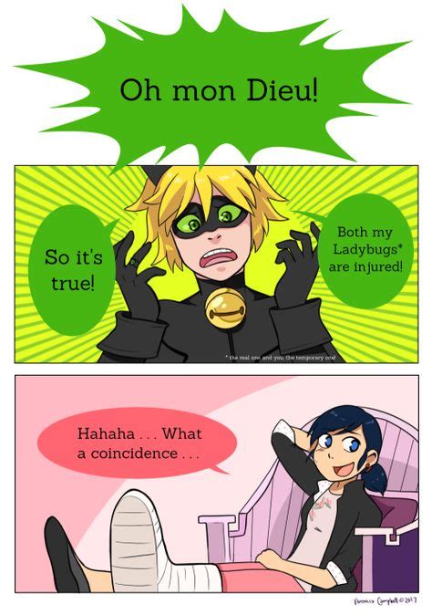 And Chat Noir Likes Marinette And Not Ladybug Tumblr Miraculous