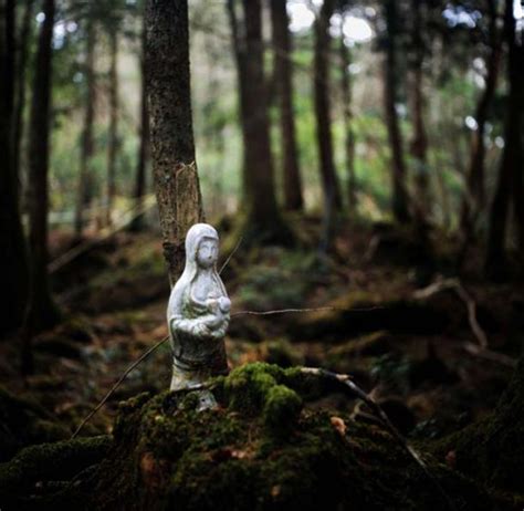 The Aokigahara Forest Of Japan Many Enter But Few Walk Out Alive