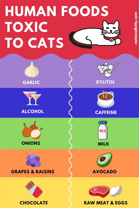 Your article on plants toxic to cats was very helpful. 8 Human Foods Poisonous to Cats - National Kitty
