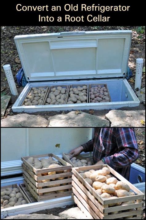 Convert An Old Refrigerator Into A Root Cellar Diy Projects For