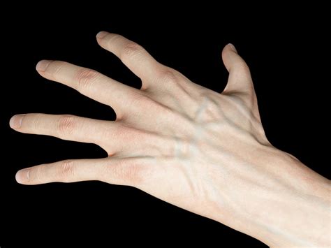 Hand Study by jdoyle20 | 3D | CGSociety