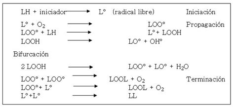 Reacciones Del Mecanismo De Auto Oxidación De Los Lípidos Monahan