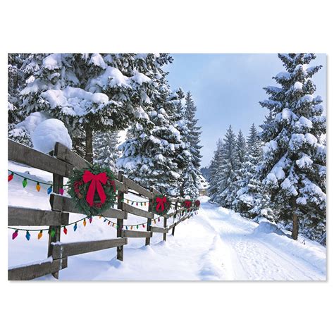 Looked around but didn't see anything about that. Forest Lane Christmas Cards | Colorful Images