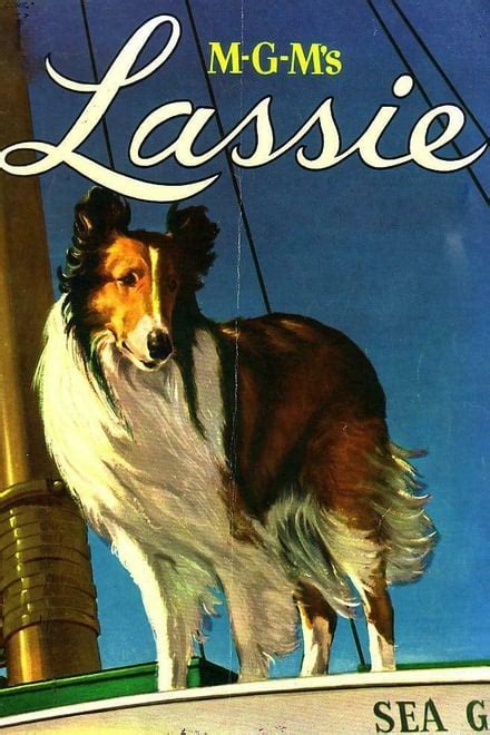 Mgms Lassie Collection Posters — The Movie Database Tmdb