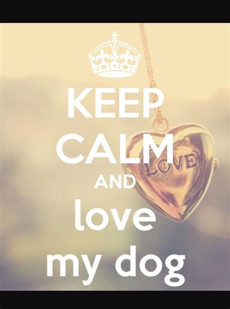 I Luv My Dog 🐶 ️ Keep Calm And Love Keep Calm I Love Dogs
