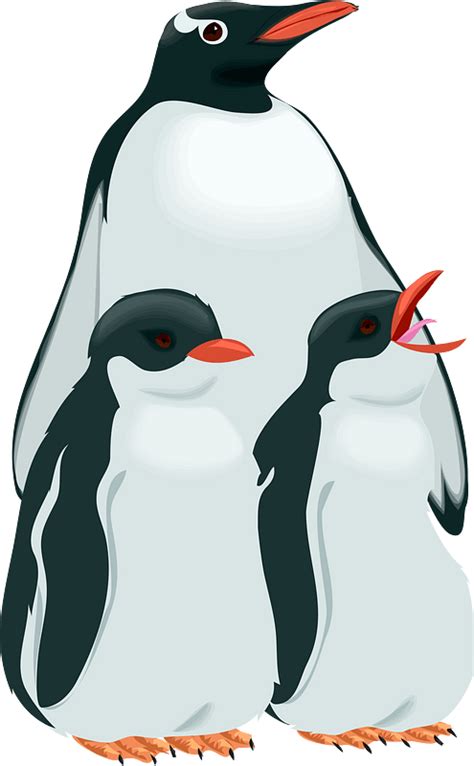 Penguins Clipart Free Download Transparent Png Creazilla