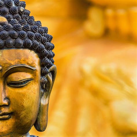Buddha Wallpapers Top Free Buddha Backgrounds Wallpaperaccess