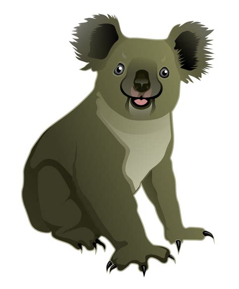 Koala Cartoon Clipart Best