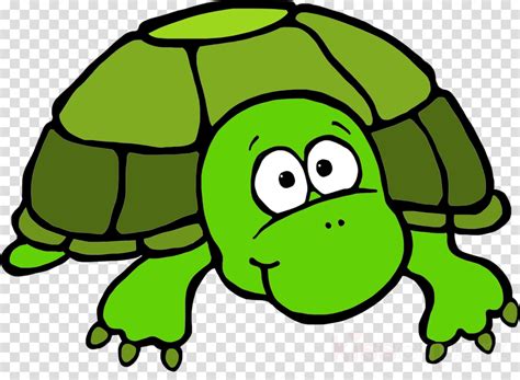 Download Turtle Clipart Sea Turtle Clip Art Turtle Clipart In Png