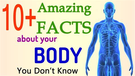 10 Facts About Human Body Amazing Body Facts Interesting Facts Youtube