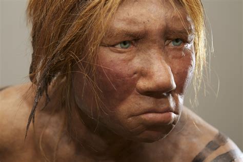 neanderthal woman reconstruction punch in the face mixed race girls human