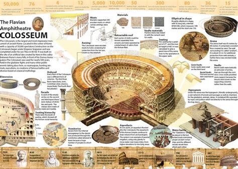 Colosseum Architecture Infographic Sem 4 Archictecture History 01