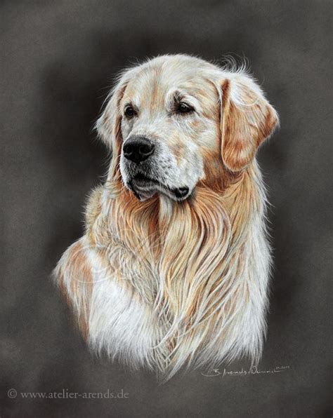 Milo Cross Paintings Animal Paintings Animal Drawings Dog Drawings