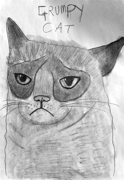 My Drawing Of Grumpy Cat By Me Cat Art Cats Illustration My Drawings