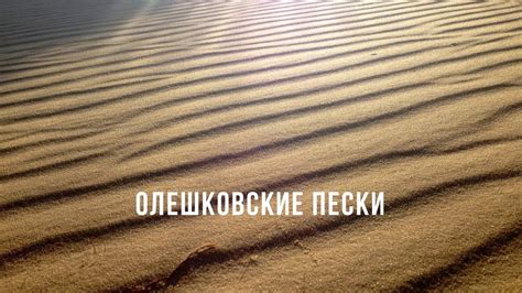 Олешковские Пески украинская пустыня Youtube