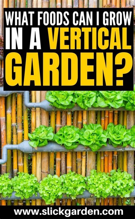 If you are one of these people, you should consider a vertical vegetable garden. What Foods Can I Grow in a Vertical Garden? | Slick Garden