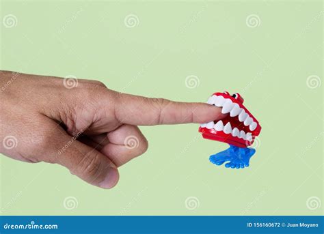 Funny Denture Biting A Finger Stock Photo Image Of Lips Jumping