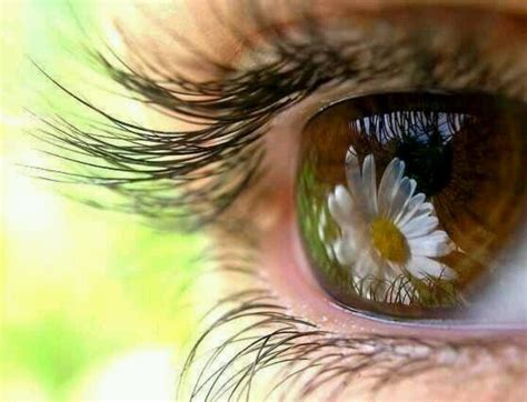 18 Best Reflection In Eyes Images On Pinterest Eyes Reflection And