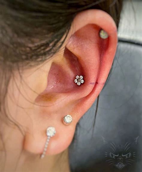 Look At That Perfect Conch Piercing Placement By Our Piercer Amanda