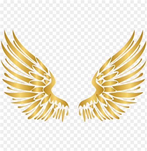 Wings Gold Wing Angel Angels Angelwings Angelwing Golde Transparent