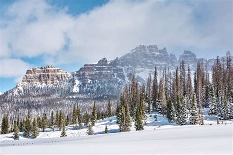 The Winter Ecology Of Yellowstone
