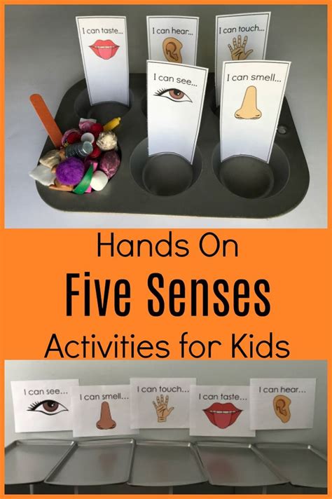 Come Play And Explore All 5 Senses With Your Own Preschoolers This