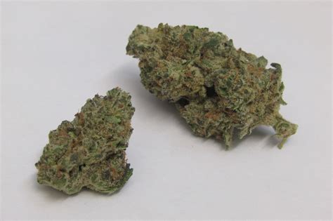 Kush Mints Why Colorado Tokers Love This Strain Westword