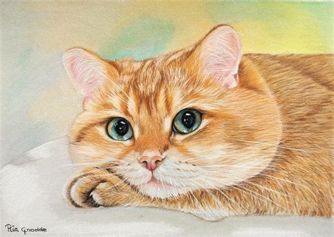 British Shorthair Cat Pastel By Rianns Art Fine Art America