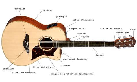 Acoustic Guitar Buying Guide