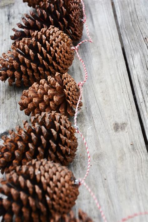 How To Make Pinecone Garland A Good Tired Pine Cone Christmas