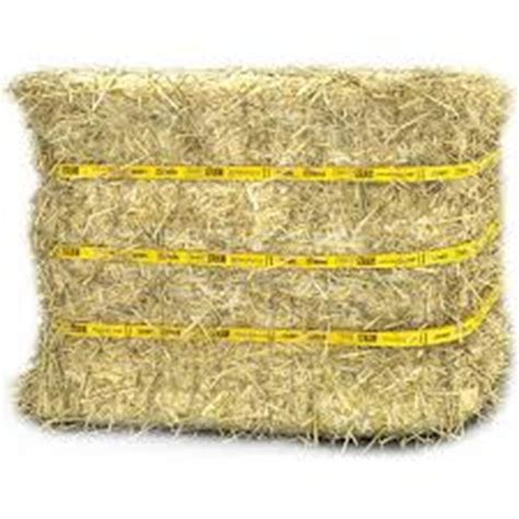 Standlee Certified Straw Compressed Bale